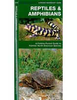 Pocket Guide - Reptiles & Amphibians