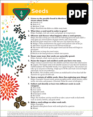 Sunbeam Seeds Award – PDF Download