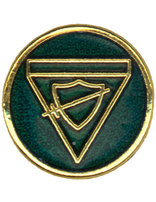 Explorer Class Pin