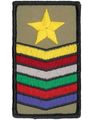 Pathfinder Guide Pin AdventSource