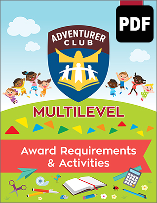 Multilevel Awards Activities - PDF Download