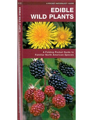 Pocket Guide - Edible Wild Plants
