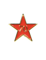 Service Star Pin - Year Seventy
