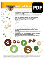 Sunbeam Animal Footprints Award – PDF Download