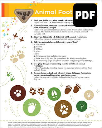 Digital Award - SB Animal Footprints