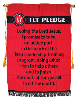 Bandera del voto de los TLT
