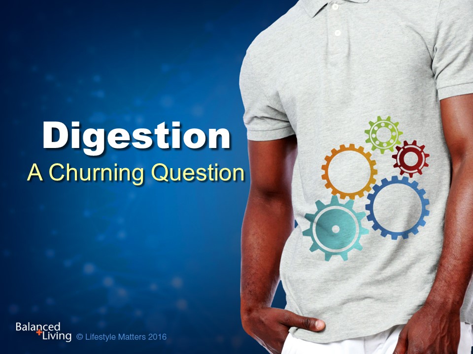 Digestion: A Churning Question - Balanced Living - PowerPoint Download