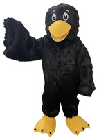 Mountain of Miracles VBS Raven Costume