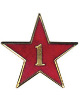 Service Star Pin - Year One