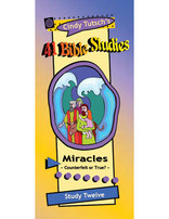 41 Bible Studies/#12 Miracles