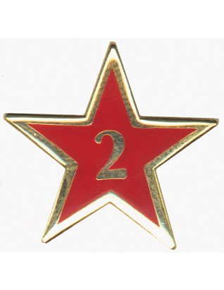 Service Star Pin - Year Two