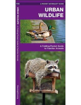 Pocket Guide - Urban Wildlife