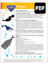 Sunbeam Whale Award – PDF Download
