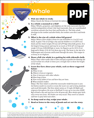 Sunbeam Whale Award – PDF Download