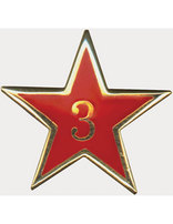Estrella de Años de Servicio - Tres Años