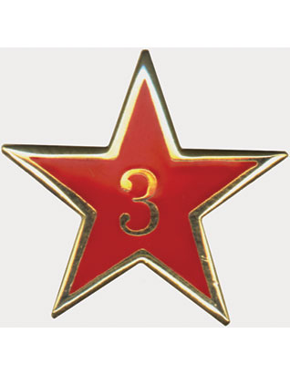 Service Star Pin - Year Three