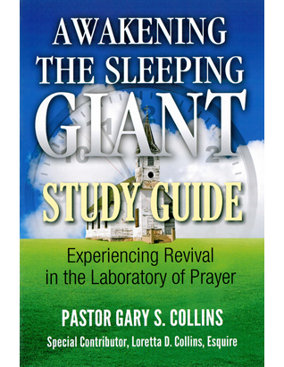 Awakening the Sleeping Giant - Study Guide