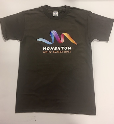 Youth Ministries Momentum T-Shirt Grey