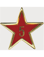 Service Star Pin - Year Five