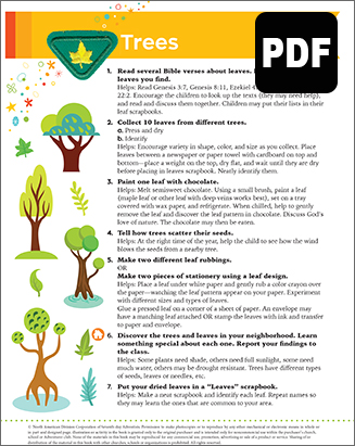 Sunbeam Trees Award – PDF Download