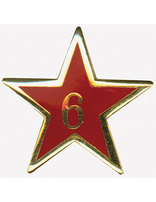 Estrella de Años de Servicio - Seis Años
