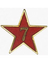Service Star Pin - Year Seven