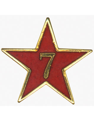 Service Star Pin - Year Seven