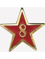 Service Star Pin - Year Eight
