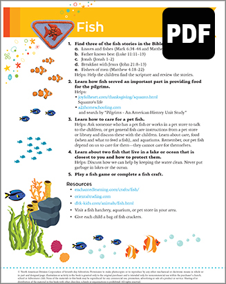 Busy Bee Fish Award - PDF Download