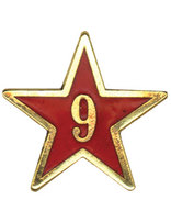Estrella de Años de Servicio - Nueve Años