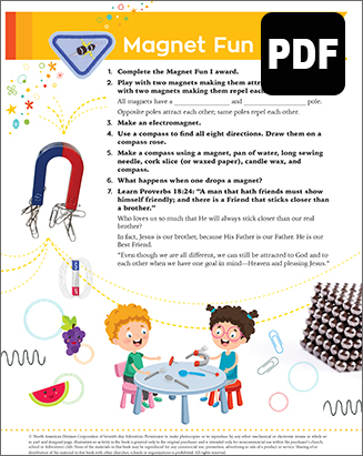Builder Magnet Fun II Award - PDF Download