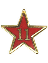 Service Star Pin - Year Eleven