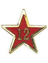 Service Star Pin - Year Twelve