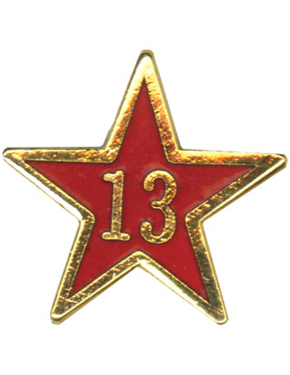 Service Star Pin - Year Thirteen