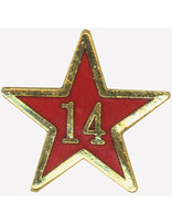 Service Star Pin - Year Fourteen