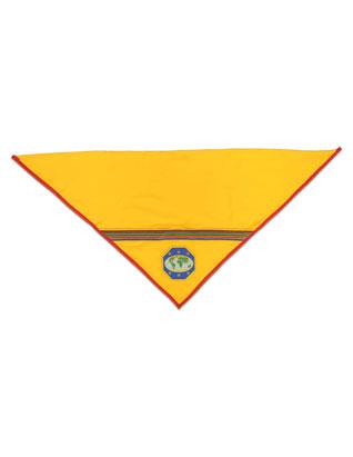 Pañuelo de Guía Mayor | Con logo y tiras bordadas