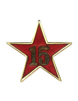 Estrella de Años de Servicio - Quince Años