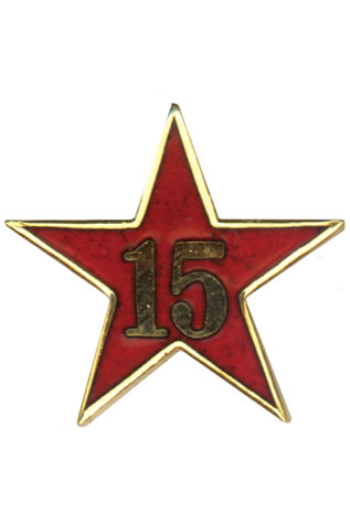 Service Star Pin - Year Fifteen