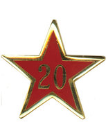 Service Star Pin - Year Twenty