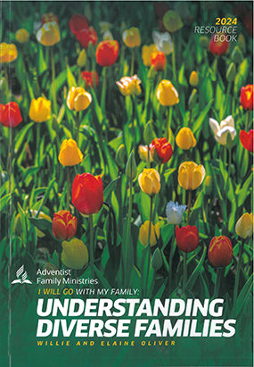 Understand Diverse Families - Family Ministries Resource Book
