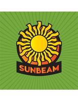 Adventurer Sunbeam Wall Banner