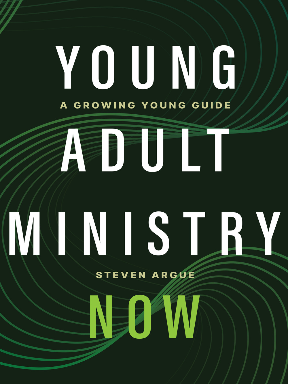Young Adult Ministry Now