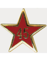 Service Star Pin - Year Forty-Five