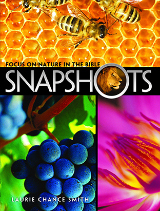 Snapshots: Focus on Nature in the Bible