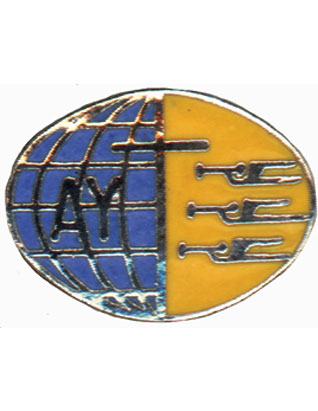 Adventist Youth Pin