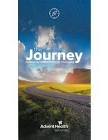 The Journey CREATION Life