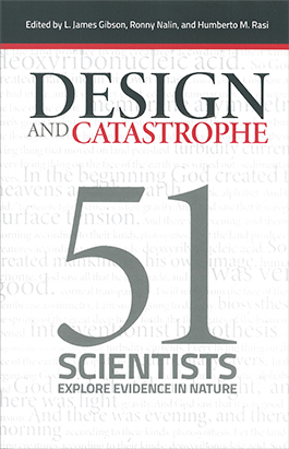 Design and Catastrophe
