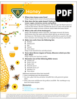 Builder Honey Award - PDF Download