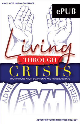 Living Through Crisis - ePub