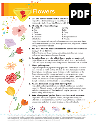 Busy Bee Flowers Award - PDF Download
